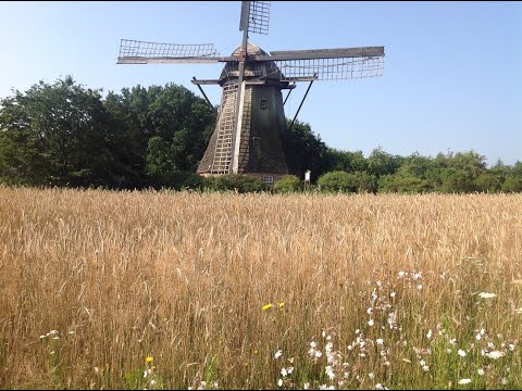 Bi mi to Huus - Vom Korn zum Brot (HV Lathen)