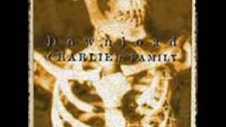 DOWNLOAD ~ GRISTLE DOG CORR