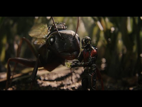 Ant-Man Completes his Training - Ant-Man