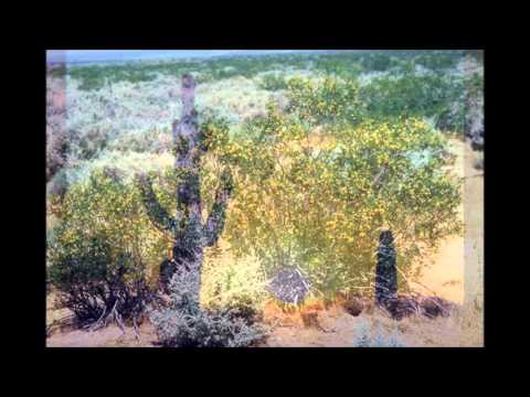 From any Road - Amateur Acoustic version