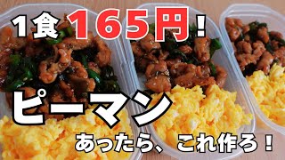 【1食165円】平日朝がラクになる！ピーマン好きは作らな損！作り置きタッパー弁当🍱✨