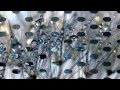 Bernward KOCH - Immortal Thoughts