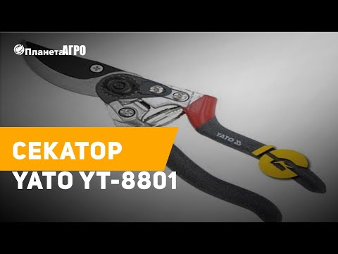Секатор профессиональный YATO 210 мм (YT-8801) - надежный инструмент Секатор профессиональный YATO 210 мм (YT-8801) - надежный инструмент