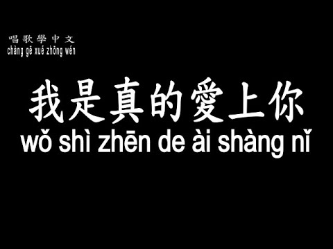 【唱歌學中文】►王傑&ndash;我是真的愛上你◀ ►w&aacute;ng ji&eacute; - wǒ sh&igrave; zhēn de &agrave;i sh&agrave;ng nǐ◀『你有一雙深情的眼睛　你有融化冰雪的魔力』【動態歌詞中文、拼音Lyrics】