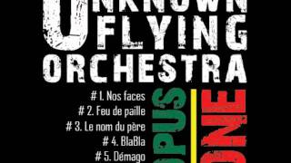 Reggae UNKNOWN FLYING ORCHESTRA - Feu de paille