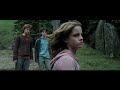 Hermione Granger Vs Draco Malfoy Harry Potter And The Prisoner Of Azkaban