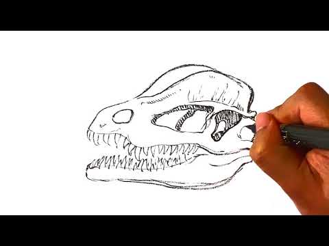 AMAZING How to Draw Dinosaur Skull - Dilophasaurus