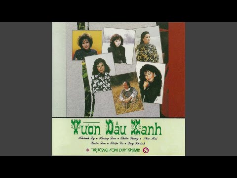 Ta lại về trên đồng làng ta - Như Mai