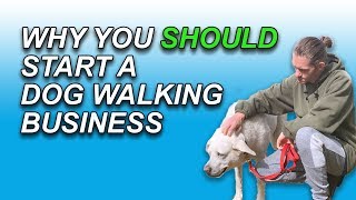 Why You SHOULD Start A Dog Walking Business In 2020