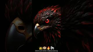 Download lagu HIGH GAIN COMPITITION HORN ππ’π#dj #djhorn #highgain mp3 Download lagu HIGH GAIN COMPITITION HORN ππ’π#dj #djhorn #highgain mp3