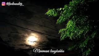 Download lagu Story WA Bintang di Surga || Peterpan mp3