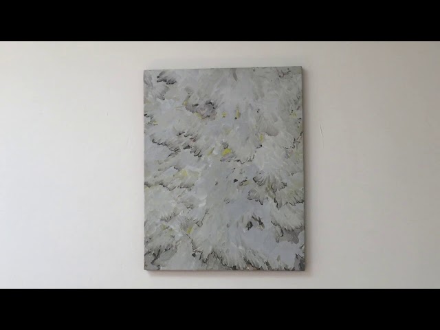 &#169;video: Hans Theys