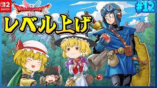 【ドラクエ2 #12】ゴリゴリにレベル上げてお金稼いで次の紋章から無双する「ドラゴンクエスト2 HD2D」実況プレイ【個人勢Vtuber】