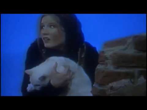 Wag the Dog - The Making of Fake News