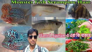 Sunday Serampore Fish Pet Market | Shrirampur Fish Market | Fish Shop Near Me | Fish Market | Fish 