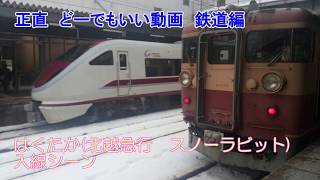 正直　どーでもいい動画　特急はくたか(683系スノーラビット)入線シーン