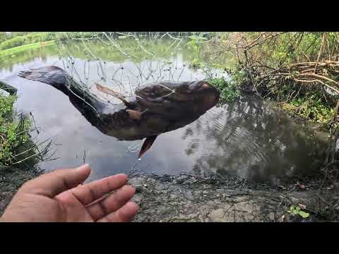ASÍ SE PESCA EN PLAYA PARAÍSO CUANDO SE ABRE LA BARRA!!