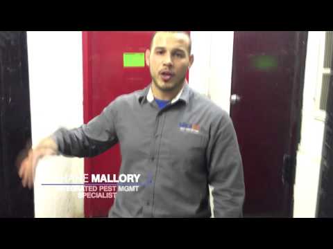 Integrated Pest Management For Roach and Pest Control 1/2