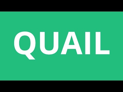 How To Pronounce Quail - Pronunciation Academy