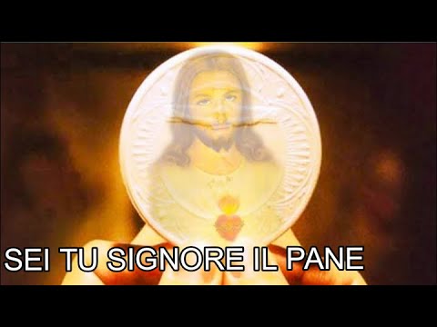 SEI TU SIGNORE IL PANE (testo e accordi)