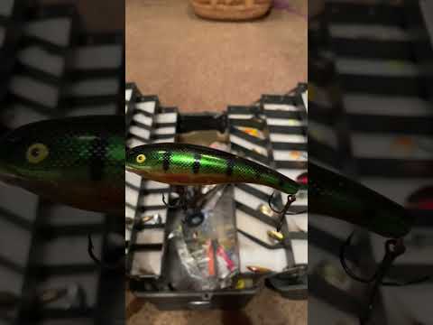 Catch Anything Best Rattle Crank Bait Lure Colour