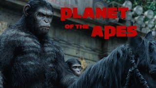 Planet of the Apes | Franchise Tribute