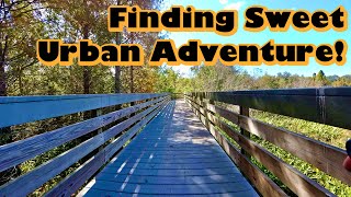 Gravel Bike, Urban Adventure: Finding an Epic Ride in Clearwater, Florida