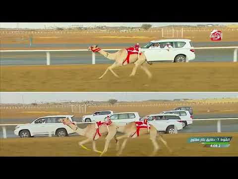  ش 7 الفلوجة لـ هجن الرئاسة 4:53:89 ، كأس الاتحاد السعودي 2026/10/01  الطايف حقايق 