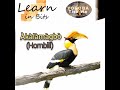 Animals in Yorùbá Language: Àkàlàmàgbò (Hornbill) #learn #animals #birds #yoruba #nigeria