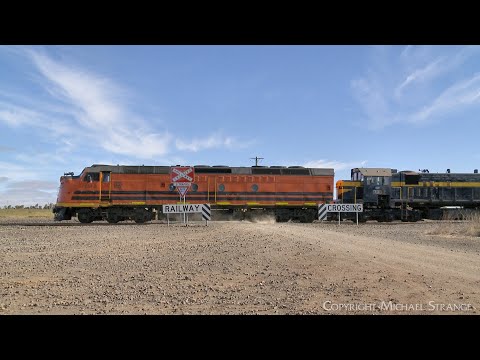 7922V SCT / SBR Dooen Container Train With CLF2 X31 C501 (19/2/2024) - PoathTV Railways