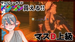 【マビノギ】インベ増枠とドラゴンが貰える‼ダンジョンガイド【準新要素】