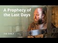 2 Timothy 3 The Last Days The Bible