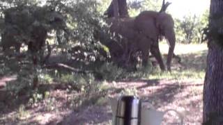 preview picture of video 'Tuli Safari, Limpopo Horse Safari, Mashatu'