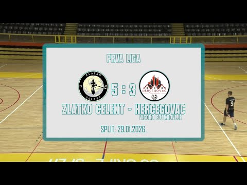 UMN_TV 1L_Zlatko Celent - Hercegovac VP (Sažetak)