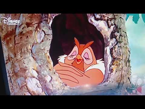 Cap und Capper (Disney 1981) - Wieder Freunde (Ende)