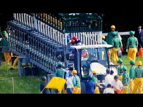 【中央競馬】2017ヴィクトリアマイル　アドマイヤリード