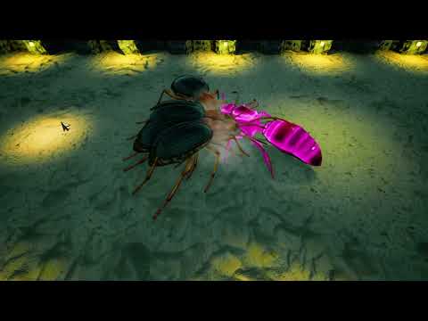 Empires of the Undergrowth   2023 5 uber bombardier beetles vs uber velvet ant