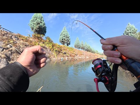 TATLI SU KEFALİ AVI | Beklenmedik anda gelen Dev balık...