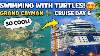 This Was the BEST Stop on Our Cruise?! 🐢 Grand Cayman Vlog