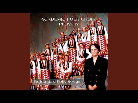 Malka moma dvori mete