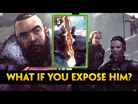 What Happens if you EXPOSE Gabor Zigrin (Thronebreaker: THE WITCHER TALES)