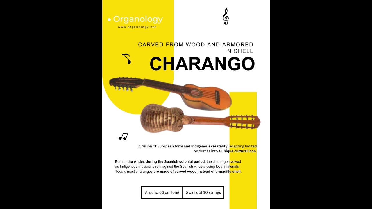 Charango: The Andean Lute of Tradition and Identity