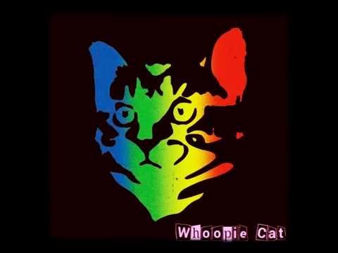 Whoopie Cat / Amy Rose