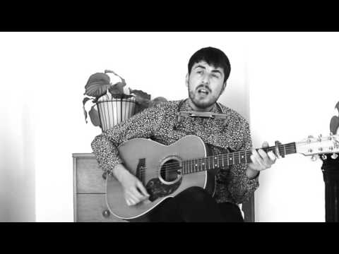 She's Electric - Oasis (Acoustic Cover with Harmonica by Michael Mulholland)