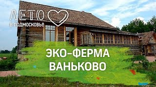Рыбацкая деревня ессентуки стоимость