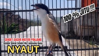 Download lagu cendet gacor MATERI PANJANG HANDAL buat PANCINGAN CENDET AGAR BUNYI bikin BURUNG PENTET GACOR NYAUT mp3 Download lagu cendet gacor MATERI PANJANG HANDAL buat PANCINGAN CENDET AGAR BUNYI bikin BURUNG PENTET GACOR NYAUT mp3