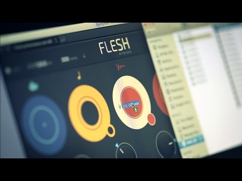 FLESH - Inspired by sound | Native Instruments