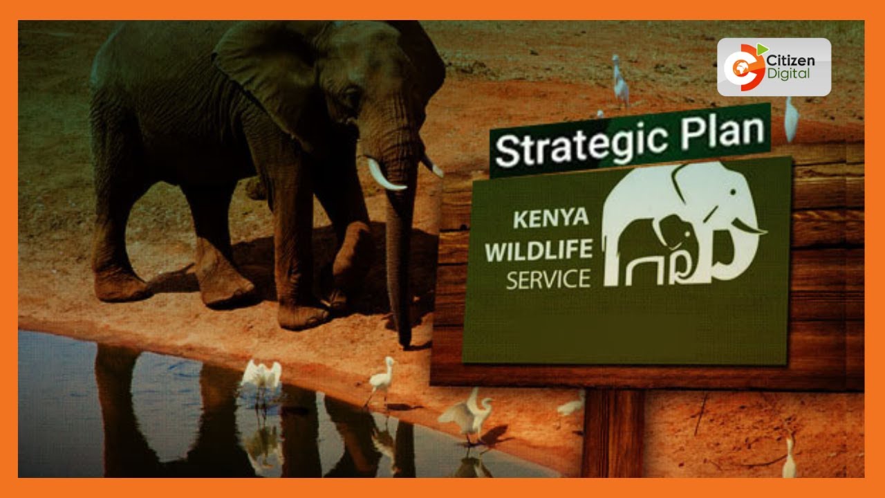 KWS Strategic plan seeks to optimize the potential of the wildlife economy