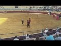 Swedish Porn Star Jumps Into Bullring To Comfort Tormented Bull