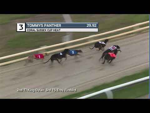 2020 CORAL SUSSEX CUP - HEAT 6 - T3 TOMMYS PANTHER